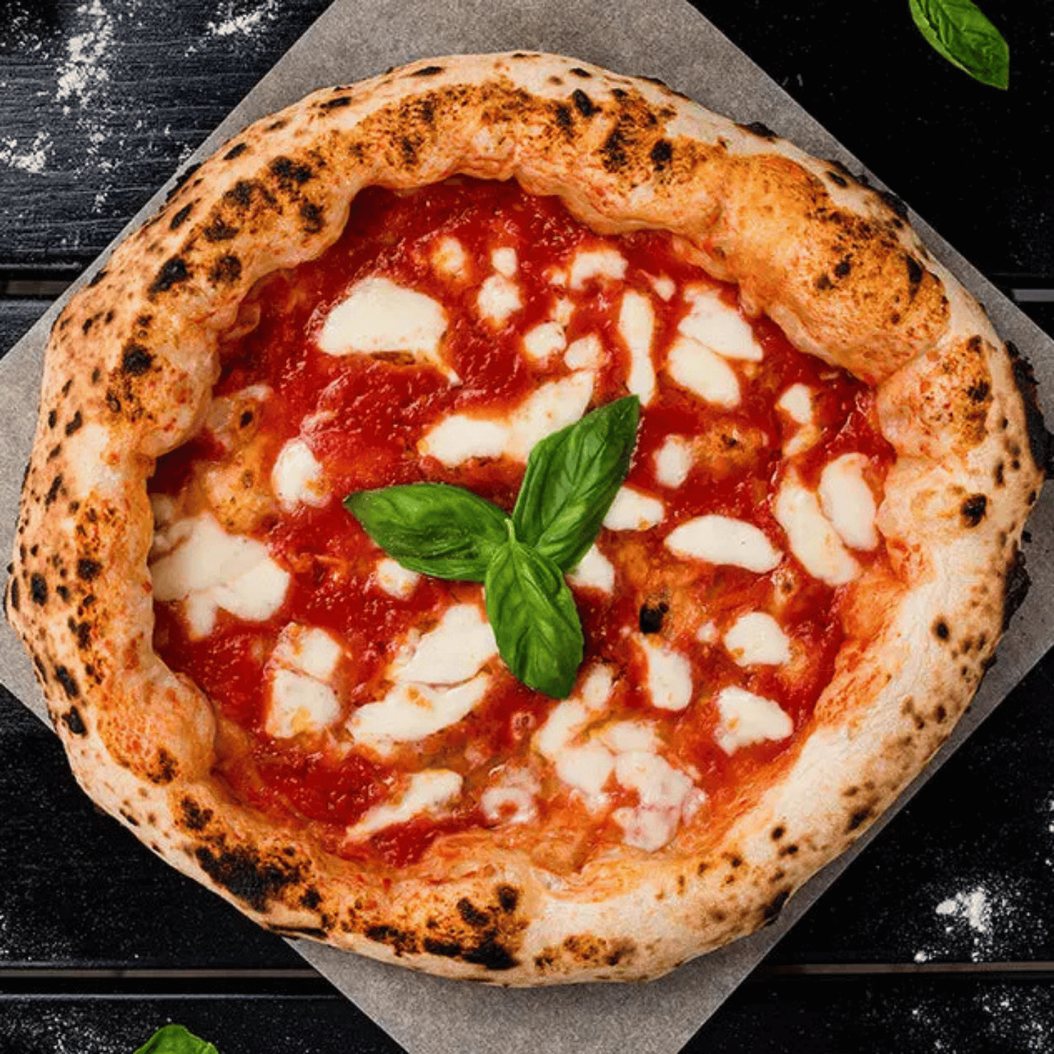 DOME Napoli Flame Shield for the GOZNEY DOME